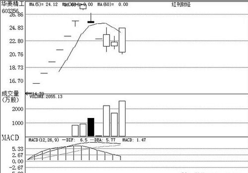 机构关注个股之广州软件开发 创新驱动与区域优势下的投资机遇