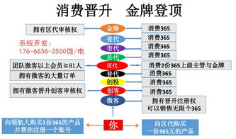 微客新零售软件开发 广州软件开发公司的创新赋能与行业解决方案