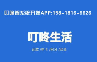 叮咚智还系统APP开发 广州软件开发的创新实践
