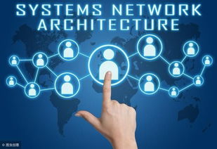 广州九星创客系统开发 引领软件创新的新浪潮